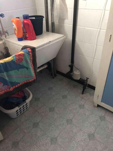 Before Photo - Musty Odors