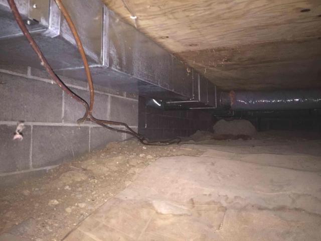 Before Photo - Moldy Crawl Space