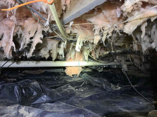 As moisture builds up in the crawl space, it is absorbed by the fiberglass insulation between the floor joists. The moisture damages the fibers and causes them to separate from one another (delaminate). The absorbed moisture also makes the material heavier, causing it to sag and fall.