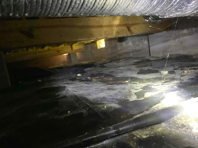 Puddling on the vapor barrier tells us that moisture and condensation are occurring and dripping from insulation, wood, and ductwork. Puddling can also be a result of groundwater seeping up and finding its way through gaps, holes, or tears in the liner.