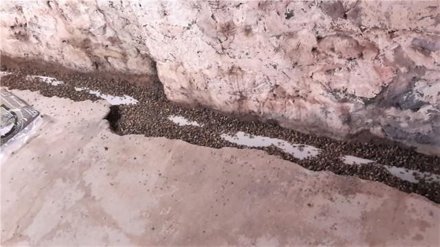 WaterGuard® Installed
