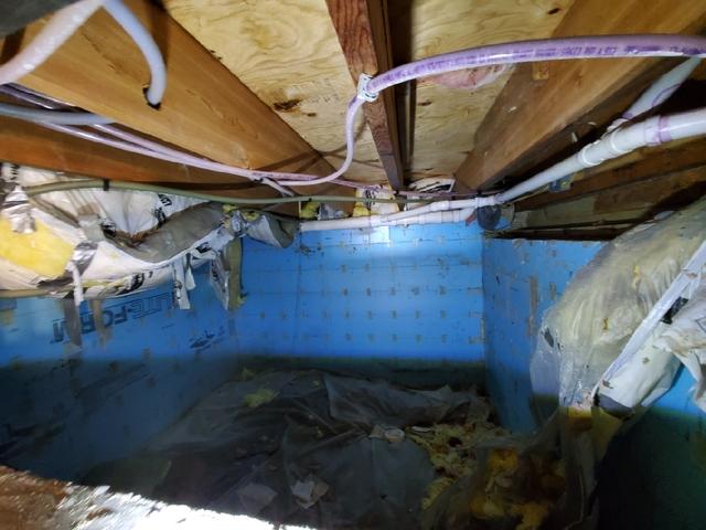 Before Photo - Nasty Crawl Space