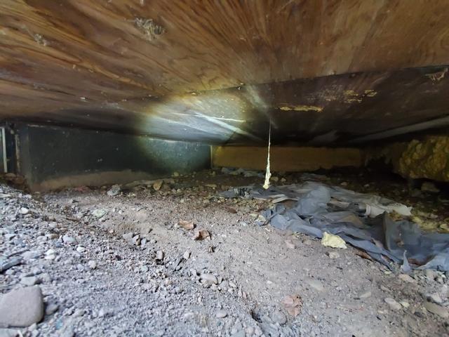 Before Photo - Moldy Crawl Space