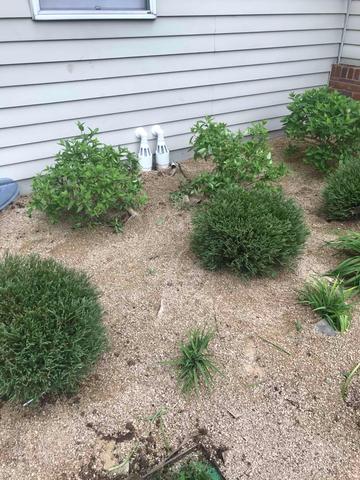 IceGuard Discharge Line System