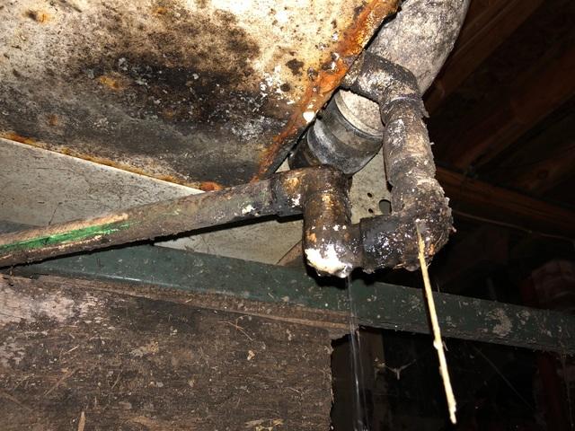 This crawl space had uncontrolled moisture which allows mold growth. Mold creates musty odors throughout the entire home and will reoccur when moisture and temperature are optimal.