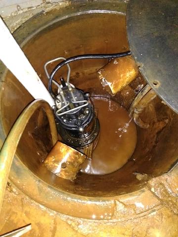 Second Sump Pump With Iron Ochre