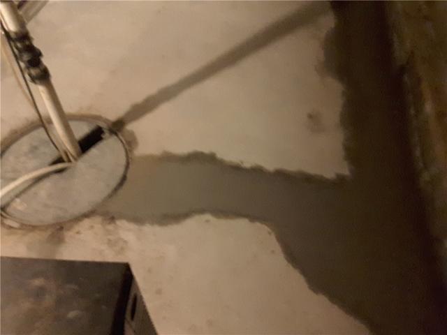 WaterGuard® Connects to Sump Pump