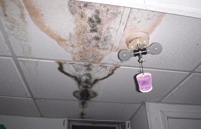 Mold Above Our Heads