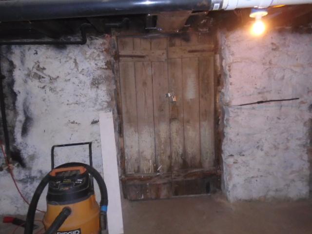 Original Basement Door