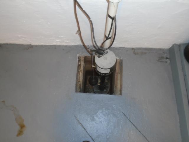 Original Sump Pump