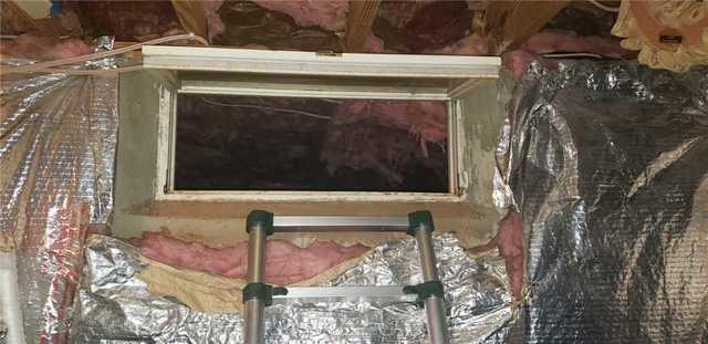 Crawl Space with Evidence of Rodents