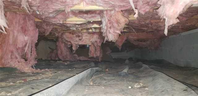 Crawl Space with Evidence of Rodents