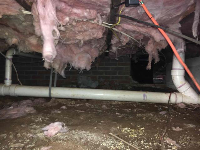 In a vented crawl space, fiberglass insulation is usually rendered ineffective. To be effective, fiberglass insulation needs to be installed in a closed cavity. Not only is it allowing air to pass right through it and into your home, but it absorbs the moisture in the crawl space and when fiberglass is even a little damp, it loses a lot of its insulation value.