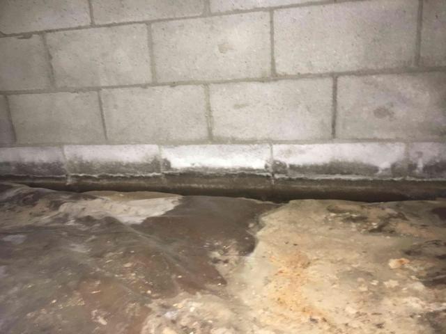 Water leaks, seeps, and flows into a crawl space through the foundation walls, under the footer, and between the footer and the walls. In this crawl space, enough water has flowed into the crawl space that it has eroded a trench along the foundation walls. The white chalky powder on the wall is efflorescence, a result of water seeping through the walls.