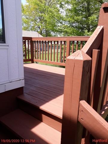 Staining Results