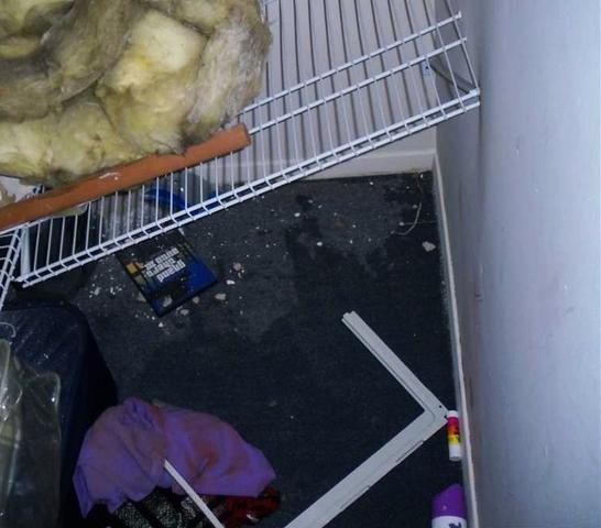 Bacteria & Wet Basement Rugs