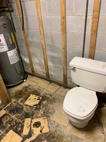 Moisture Damage to Basement Foor