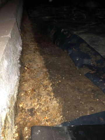 Water in the crawlspace