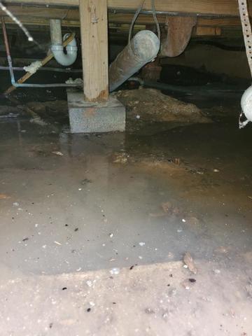 deep-sea in Crawl space