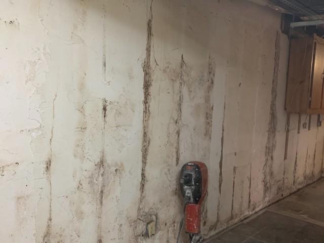 Basement Wall Damage