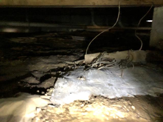 This vapor barrier isn't doing its job. The relative humidity is getting into the crawl space and creating mold which is not healthy for any crawl space.