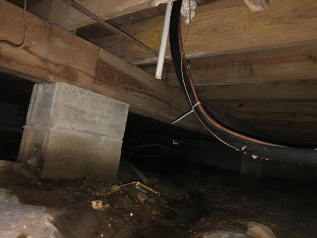 These two places make the perfect place for mold growth. When the mold gets too bad, most of the time the framing will get so rotted that it will need to be replaced. It's just a matter of time before a damp crawl space rots your floor out.