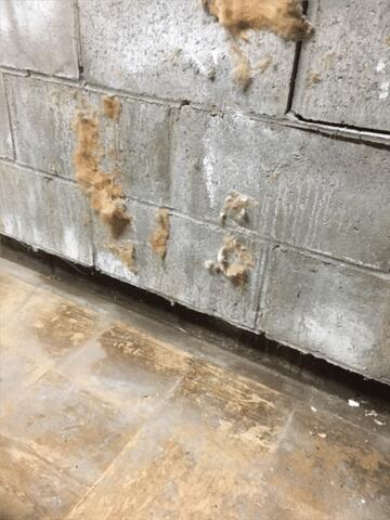 Cracking and Shearing Foundation Wall