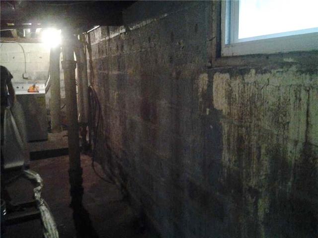 Wet Basement 