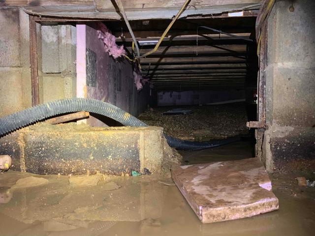 A wet crawl space is no good. Pooling water in the crawl space is obvious, as well as rotting wood. 3 problems to also worry about are increased bills, mold growth, and dust mites, and pests.