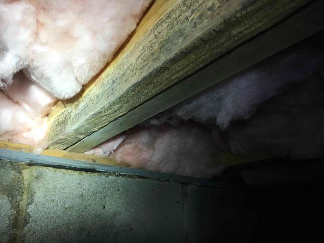 Mold and Mildew have grown on to the floor joists of this crawl space. When the relative humidity within the crawl space reaches above 60%, alongside a temperature of about 70 degrees or higher, mold will begin to grow on any organic materials. Since approximately 50% of the air you breathe in a home comes from your crawl space, homeowners will smell the musty odors coming from mold growth, and mold spores will leak up into the home and irritate anyone with mold allergies, while prolonged exposure to mold can actually cause asthma.