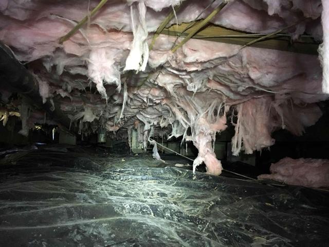 The fiberglass insulation shown in these floor joists is saturated with water and is beginning to fall apart. When there is moisture in the crawl space, the fiberglass will act as a sponge and collect much of this water. However, it was not created to hold moisture, as the water droplets pull apart the fine glass fibers, causing the insulation to sag and fall to the ground. The fiberglass, being torn apart and separated will lose its R-value and will need to be replaced or removed.