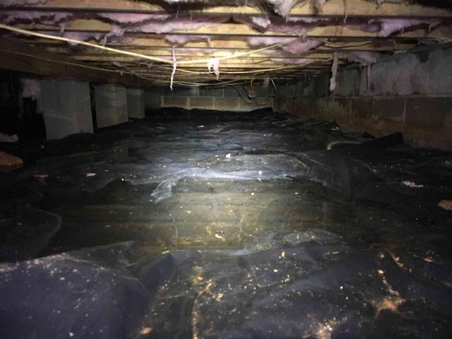 Water puddles have formed within this crawl space and can be a major problem for the homeowner. Water is a clear sign that there is either infiltration from the outside seeping in, or that the relative humidity has reached 100%, in which case the air cannot hold any more water and condensation forms on cooler surfaces in the crawl space. Water puddles left by floods or leaks will also cause the relative humidity to elevate with warmer temperatures, leading to other issues such as mold and mildew, structural damage, and wood rot.