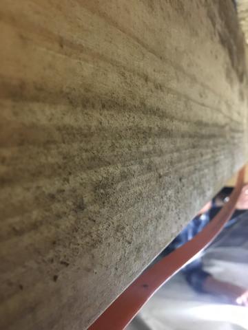Mold Growth on Floor Joists