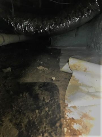Problematic Back End of the Crawl Space
