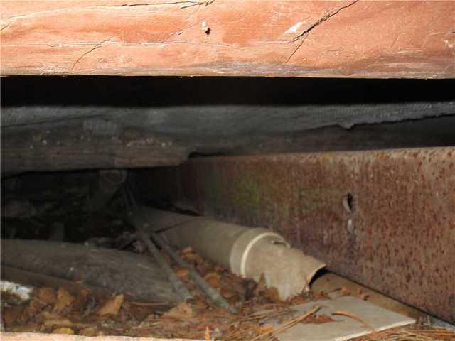 Original Hand-Hewn Support Beams in Ely, MN