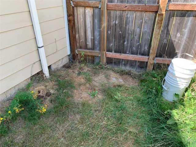 Back yard