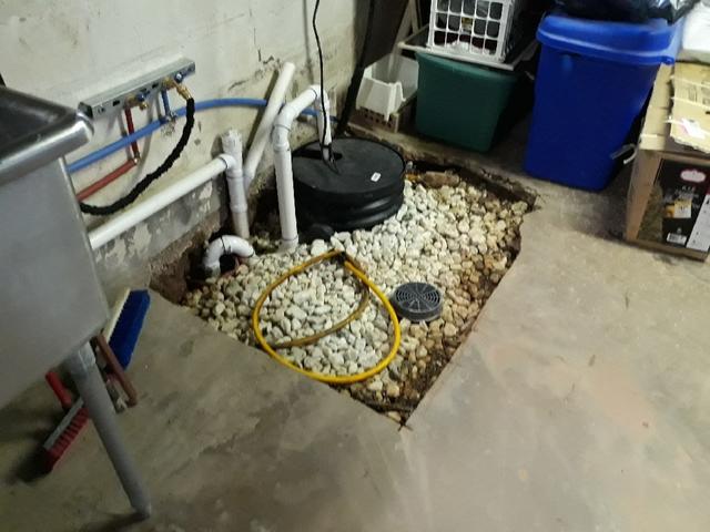 WaterGuard® Will Connect With This Sump Pump