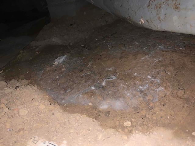Water Infiltration