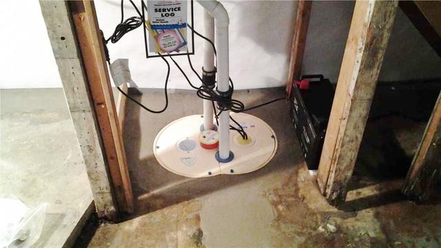 TripleSafe Basement Sump Pump