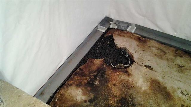 WaterGuard Corners the Basement