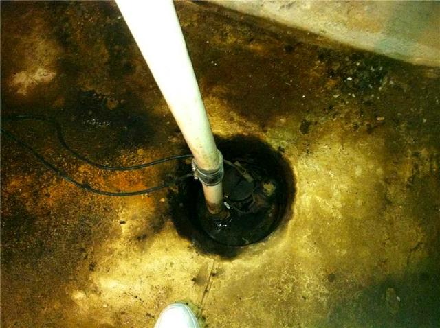 Do-Nothing Sump Pump