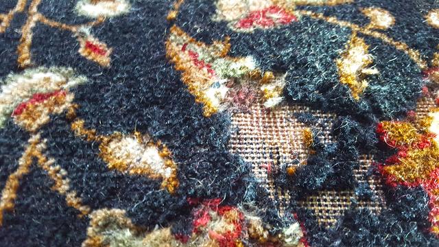 Cowleys Pest Services - Pests We Treat Photo Album - Expensive Rug ...