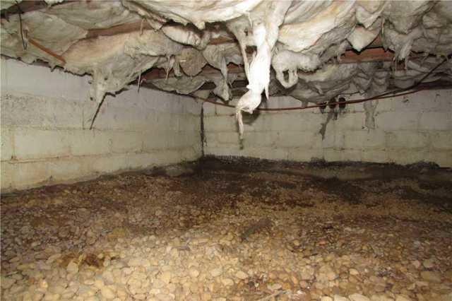 BEFORE: Dirty Crawl Space