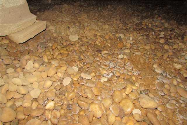 BEFORE: Mold on Pebbles