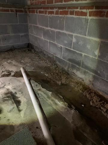 Progression of a full crawl space transformation