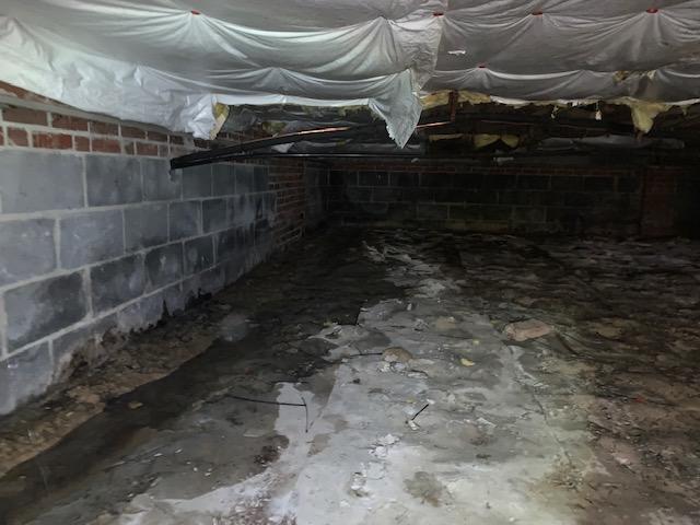 Progression of a full crawl space transformation