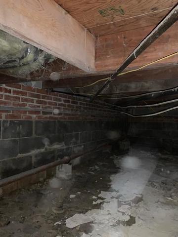 Progression of a full crawl space transformation