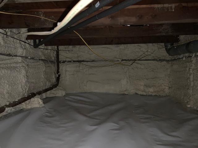 Progression of a full crawl space transformation