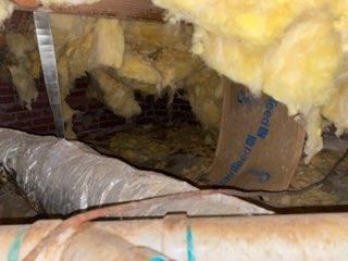 Mold and Structural Damage