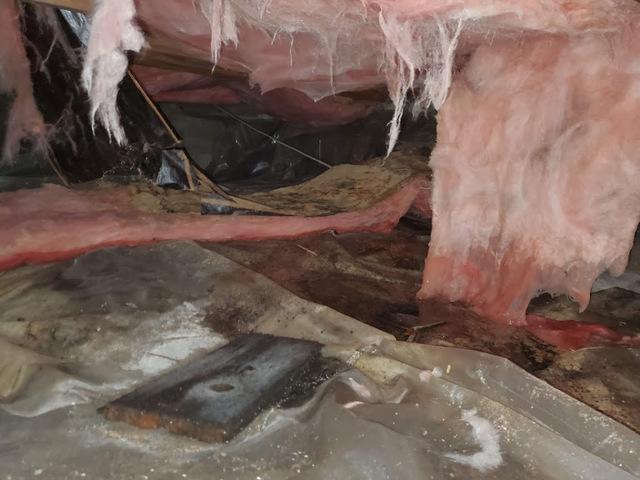 Old Ypsilanti, Mi Crawl Space Insulation is Water Damaged